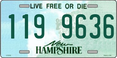NH license plate 1199636