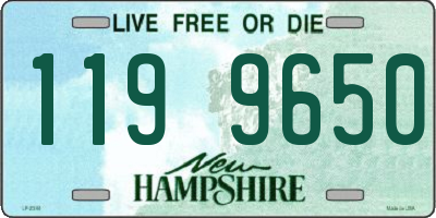NH license plate 1199650