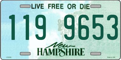 NH license plate 1199653