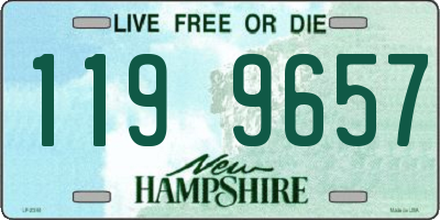 NH license plate 1199657