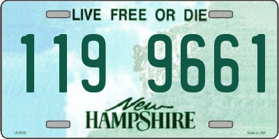 NH license plate 1199661