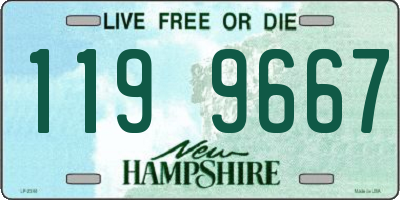 NH license plate 1199667