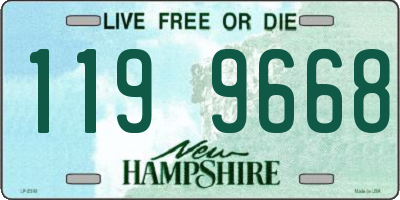 NH license plate 1199668