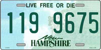 NH license plate 1199675