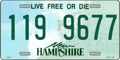 NH license plate 1199677