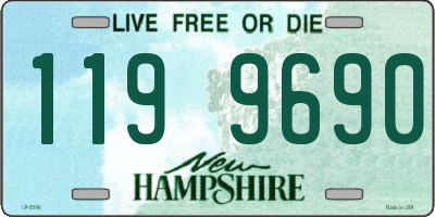 NH license plate 1199690
