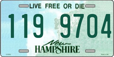 NH license plate 1199704