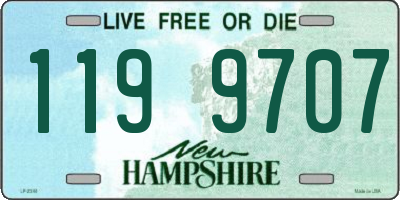 NH license plate 1199707