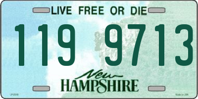 NH license plate 1199713
