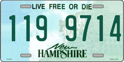 NH license plate 1199714