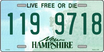 NH license plate 1199718