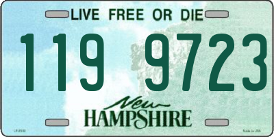NH license plate 1199723
