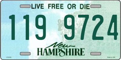 NH license plate 1199724