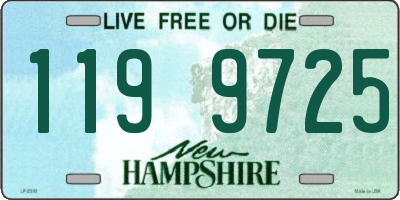 NH license plate 1199725