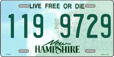 NH license plate 1199729
