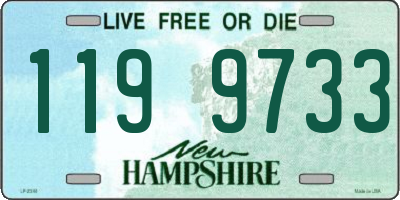 NH license plate 1199733