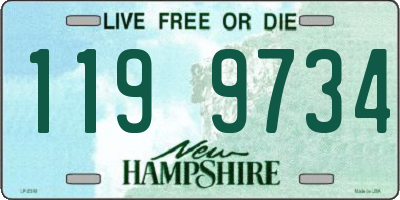 NH license plate 1199734