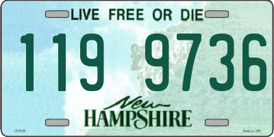 NH license plate 1199736