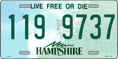 NH license plate 1199737