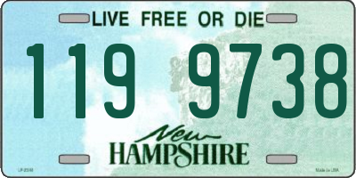 NH license plate 1199738
