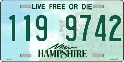 NH license plate 1199742