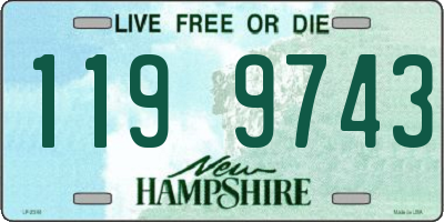 NH license plate 1199743