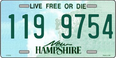NH license plate 1199754