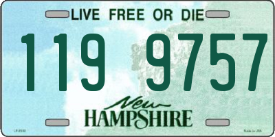 NH license plate 1199757
