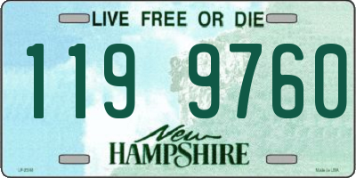 NH license plate 1199760