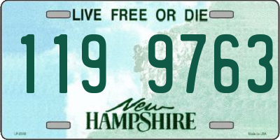 NH license plate 1199763