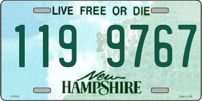 NH license plate 1199767