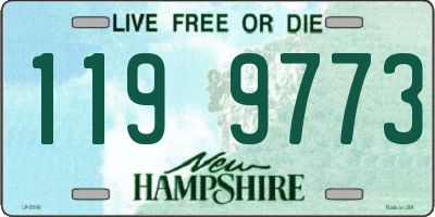 NH license plate 1199773