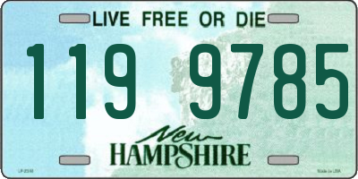 NH license plate 1199785