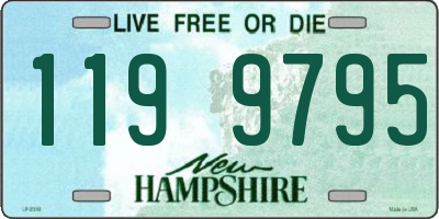 NH license plate 1199795
