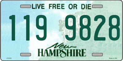NH license plate 1199828