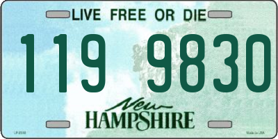 NH license plate 1199830