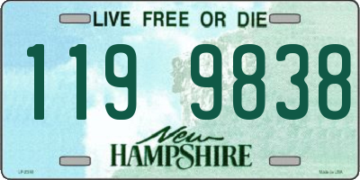 NH license plate 1199838