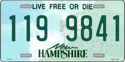 NH license plate 1199841