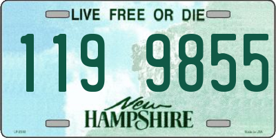 NH license plate 1199855