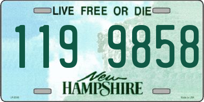 NH license plate 1199858
