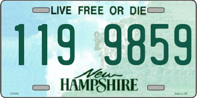 NH license plate 1199859