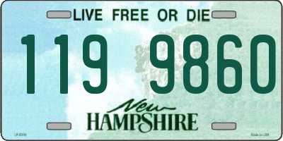 NH license plate 1199860