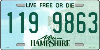 NH license plate 1199863
