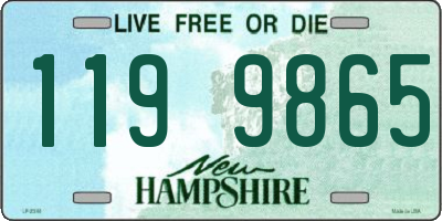 NH license plate 1199865