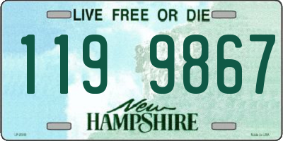 NH license plate 1199867