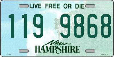 NH license plate 1199868