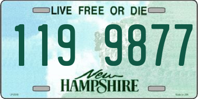 NH license plate 1199877