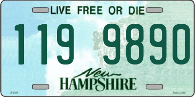 NH license plate 1199890