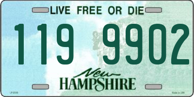 NH license plate 1199902