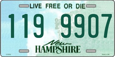 NH license plate 1199907